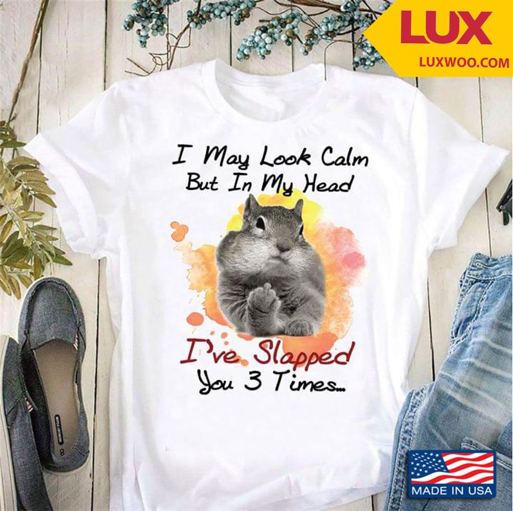 Eastern Gray Squirrel I May Look Calm But In My Head Ive Slapped You 3 Times Tshirt Size Up To 5xl