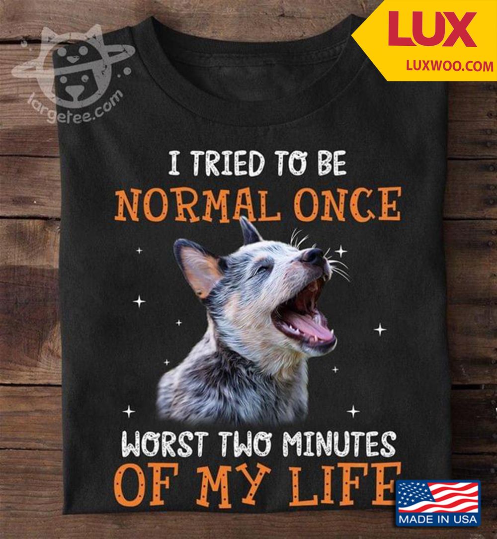 Heeler I Tried To Be Normal Once Worst Two Minutes Of My Life Shirt Size Up To 5xl