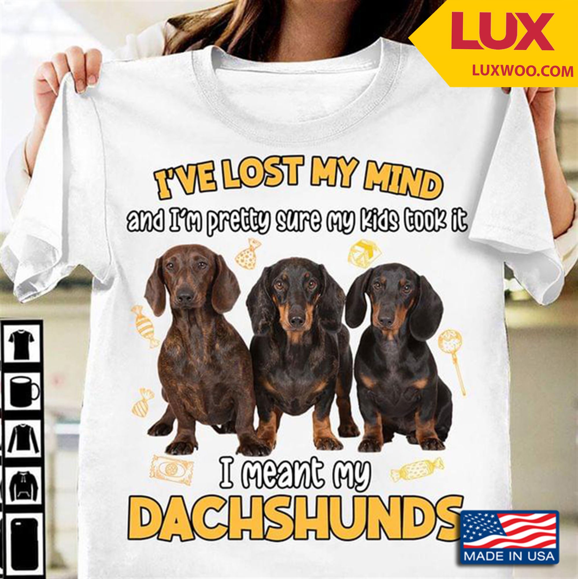 Ive Lost My Mind And Im Pretty Sure My Kids Took It I Meant My Dachshunds Shirt Plus Size Up To 5xl