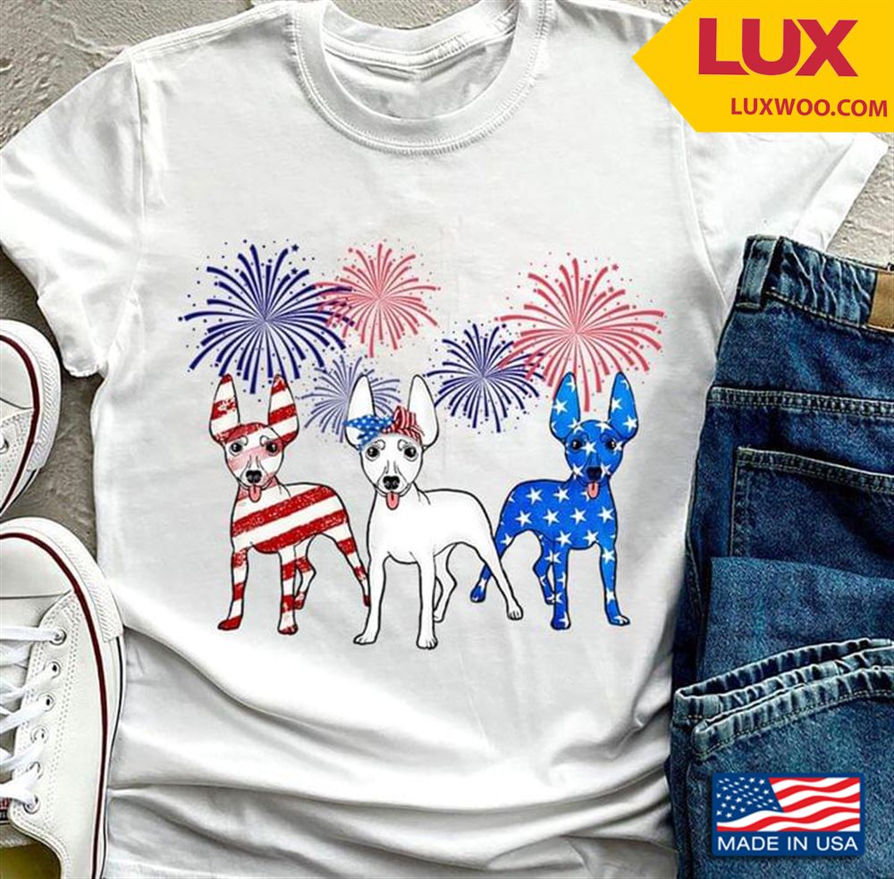 Three Basenjis And Fireworks Happy Independence Day Shirt Size Up To 5xl