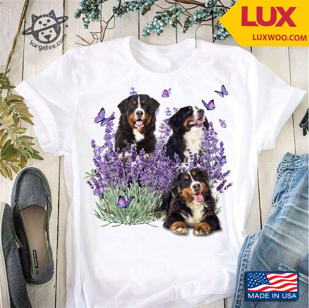 Three Bernese Mountain Dogs Butterflies And Lavender Shirt Size Up To 5xl