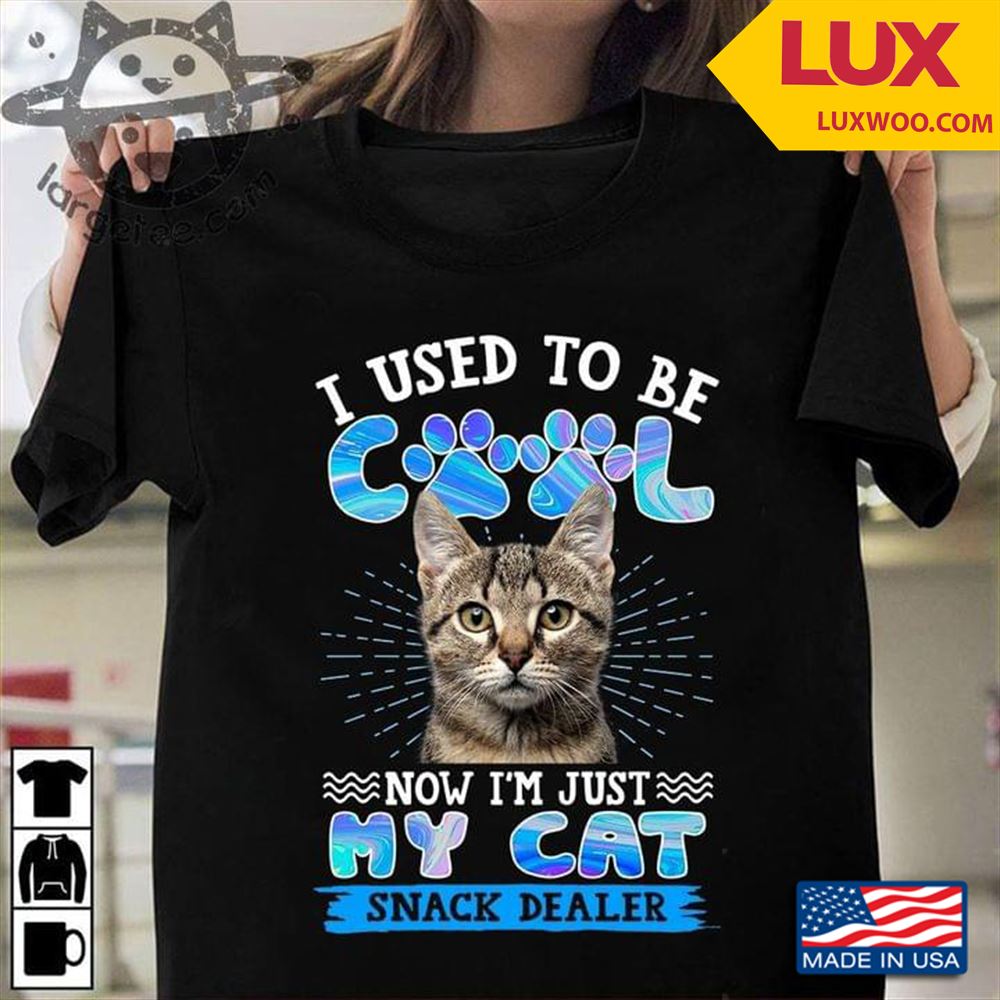 I Used To Be Cool Now Im Just My Cat Snack Dealer Shirt Size Up To 5xl