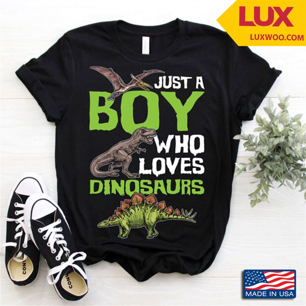 Just A Boy Who Loves Dinosaurs Birthday Gift For Boys Shirt Size Up To 5xl