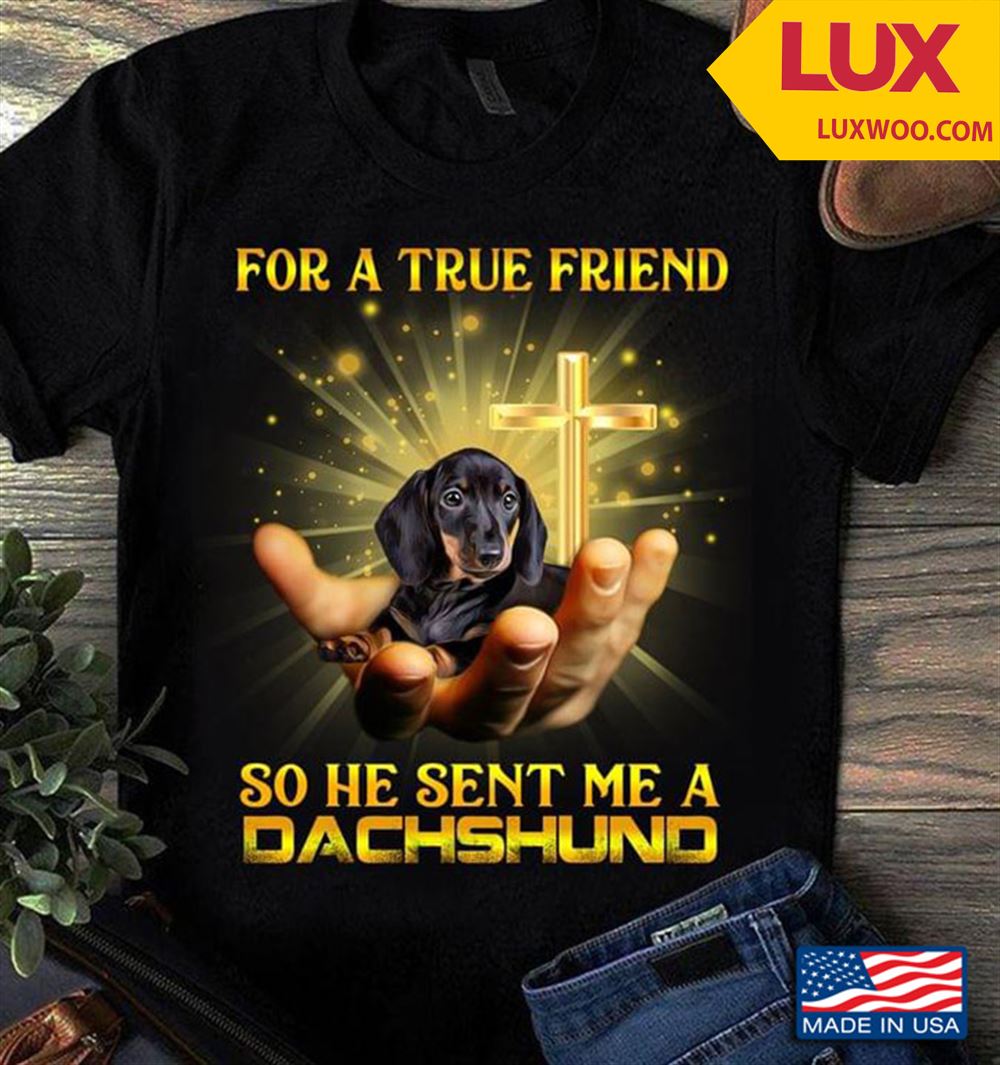 For A True Friend So He Sent Me A Dachshund Jesus For Dog Lover Tshirt Size Up To 5xl