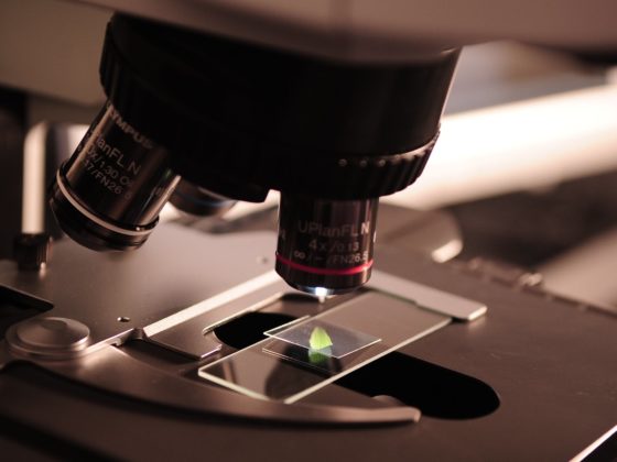 close up of microscope