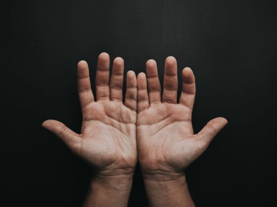 photo of person s open hands
