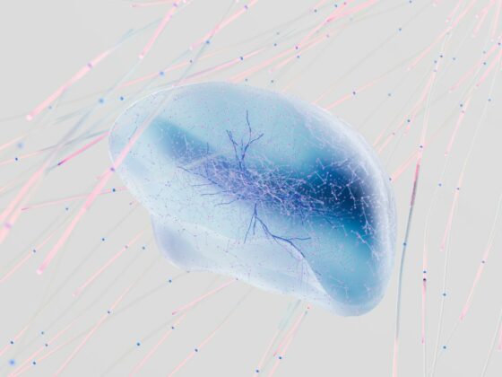 an artist s illustration of artificial intelligence ai this image represents how machine learning is inspired by neuroscience and the human brain it was created by novoto studio as par