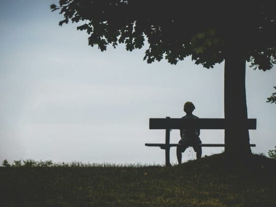 person sitting on bench under tree