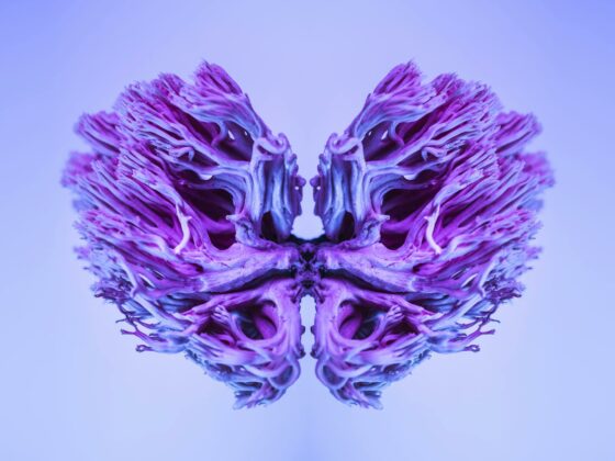 purple and white flower petals