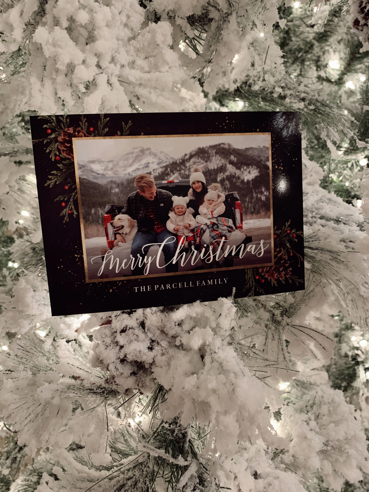 Fast and Cutest Holiday Cards&hellip; - Rach Parcell