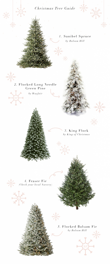 Guide To Picking Out The Perfect Christmas Tree Rach Parcell