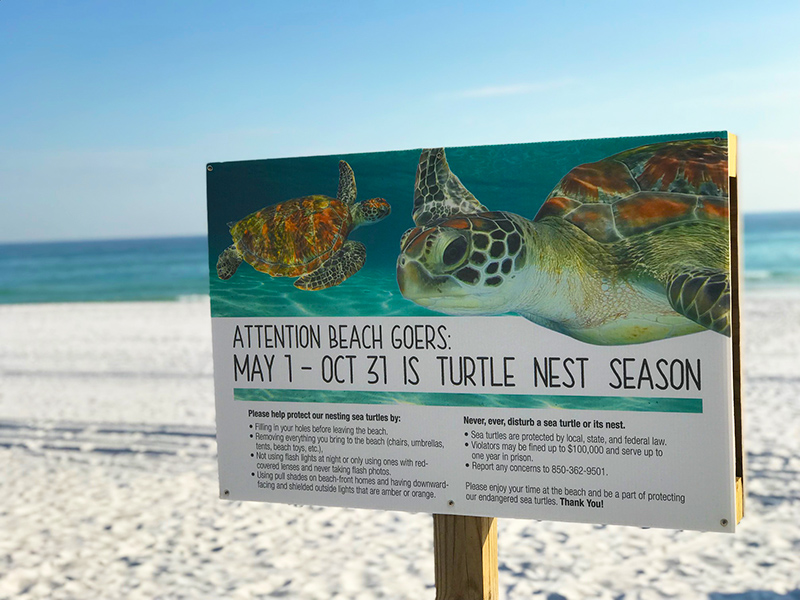 Navarre Beach Sea Turtle Conservation Center