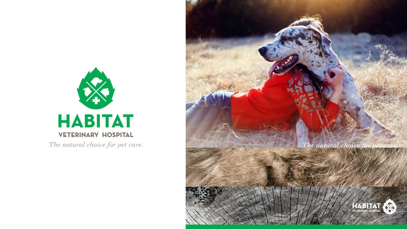Habitat Veterinary Hospital Branding SOVRN Boise