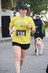 Resultado de b&uacute;squeda