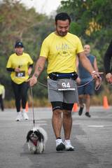 Resultado de b&uacute;squeda