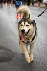 Resultado de b&uacute;squeda