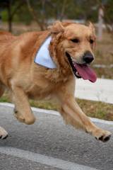 Resultado de b&uacute;squeda