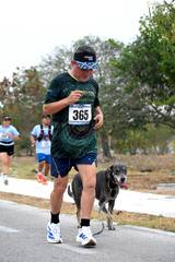 Resultado de b&uacute;squeda