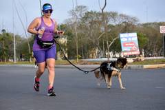 Resultado de b&uacute;squeda