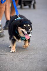 Resultado de b&uacute;squeda