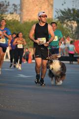 Resultado de b&uacute;squeda