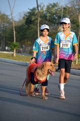 Resultado de b&uacute;squeda