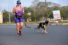 Resultado de b&uacute;squeda