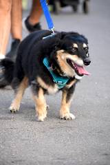 Resultado de b&uacute;squeda