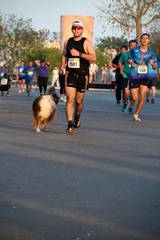 Resultado de b&uacute;squeda