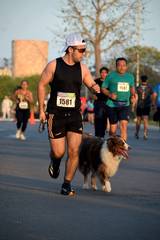 Resultado de b&uacute;squeda