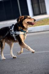 Resultado de b&uacute;squeda