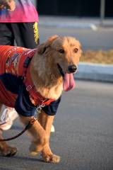 Resultado de b&uacute;squeda