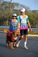 Resultado de b&uacute;squeda