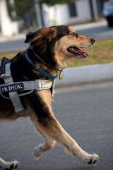 Resultado de b&uacute;squeda