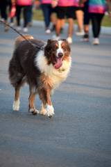 Resultado de b&uacute;squeda