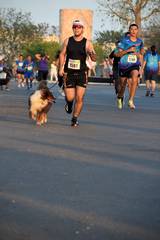 Resultado de b&uacute;squeda