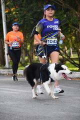 Resultado de b&uacute;squeda