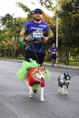 Resultado de b&uacute;squeda