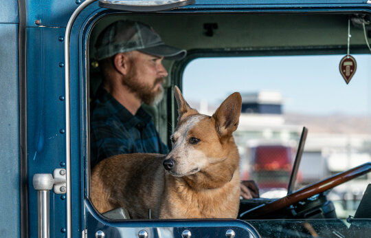 trucker with dog